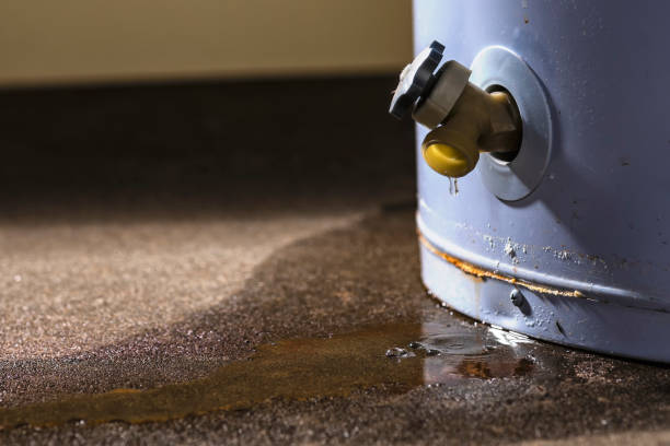 Best Ceiling water damage repair  in Willowick, OH