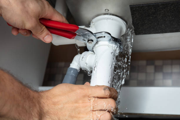 Best Water damage restoration mold remediation  in Willowick, OH