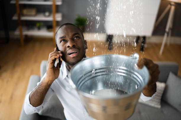 Best Water damage restoration specialists  in Willowick, OH