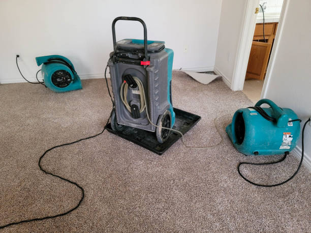 Best Water damage restoration near me  in Willowick, OH