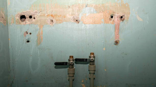 Best 24/7 water damage repair  in Willowick, OH