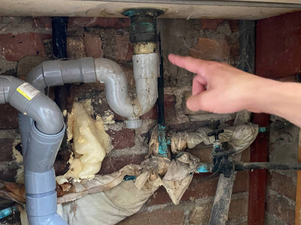Best Local water damage restoration  in Willowick, OH